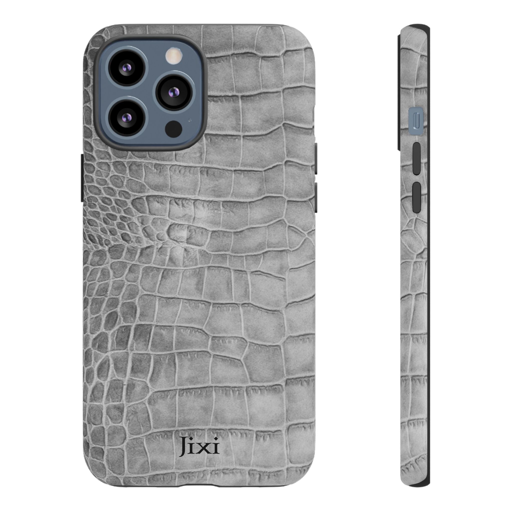 SILVER SCALE iPhone Case